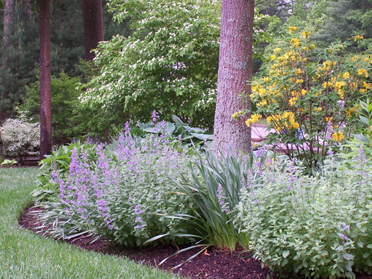 landscaping ideas perennials